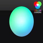 Light Up Easter Eggs - Multi Color