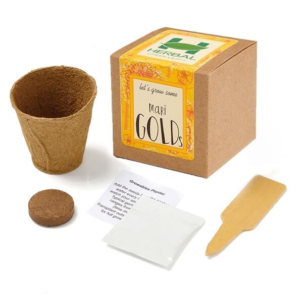 Main Product Image for Marigold Seed Growable Planter Kit