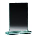 Medium Glass Award -  