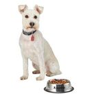 Medium Stainless Steel Pet Bowl - White