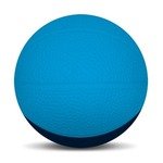 Micro Foam Basketballs Nerf - 2.5" - Lt Blue/Navy