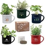 Mini Campfire Mug Blossom Kit - White