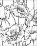 Nature. Stress Relieving Coloring Books for Adults -  