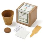 Oregano Seed Growable Planter Kit -  