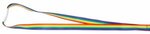 Pride Lanyard - Multi Color