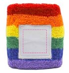 Rainbow Sweatband - Rainbow