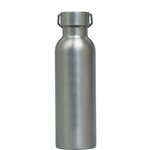 Ria 28 oz. Single Wall Stainless Steel Bottle - Steel