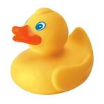 Rubber Duck -  