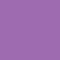 School Supply Case - Translucent Purple