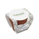 Buy Seed Sensations Terracotta Pot With Holiday Wrapper