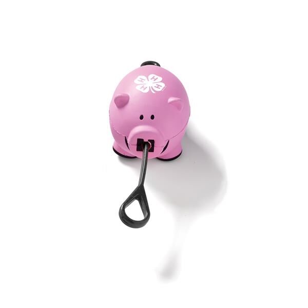 Main Product Image for Slingshot Pig Toy