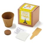 Buy Solar Chakra Seed Growable in Kraft Gift Box