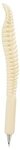 Spine Bone Pen -  