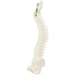 Spine Keyring -  