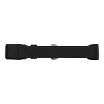 Springer Medium Dog Collar - Black