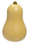 Squash Stress Reliever - Medium Brown