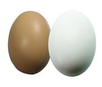 Squeezie(R) Egg Stress Reliever -  