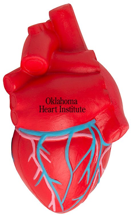 Main Product Image for Imprinted Squeezies (R) Heart (Anatomical With Veins) Stress Rel