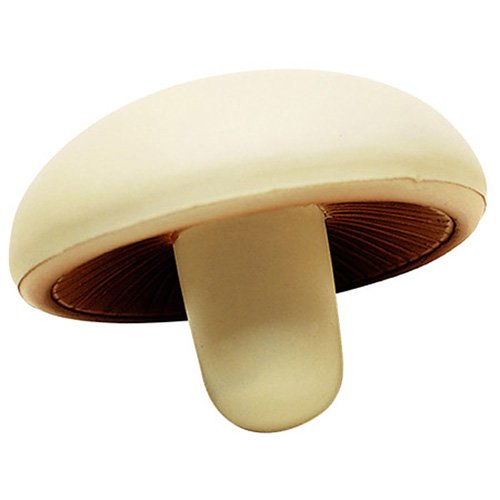 Main Product Image for Custom Printed Stress Reliever Mushroom