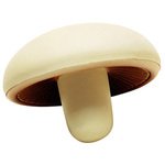 Buy Custom Printed Stress Reliever Mushroom
