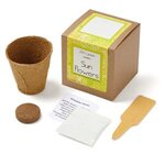 Sunflower Seed Growables Planter in Kraft Gift Box - Natural