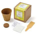 Sunflower Seed Growables Planter in Kraft Gift Box - Natural