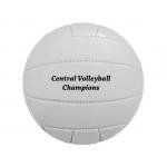 Synthetic Leather Mini Volleyball - Custom Printed