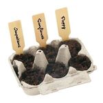 Teal Grow Your Own Garden of Hope Seed Kit -  
