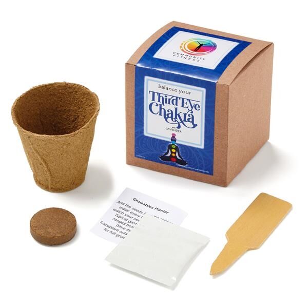 Main Product Image for Third Eye Chakra Growable in Kraft Gift Box