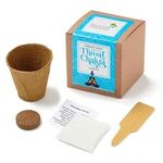 Throat Chakra Growable in Kraft Gift Box