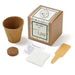 Thyme Growable Seed Planter in Kraft Gift Box - Natural