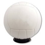Volleyball - Full Size - Full Color Print - White