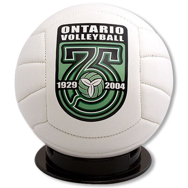 Main Product Image for Volleyball - Mini Size - Full Color Print