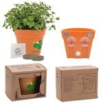 Wall Sprouts Planter Blossom Kit - Orange