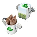 Buy Watering Can Planter with Seeds