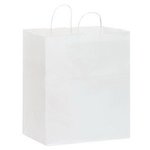 White Kraft Carry-Out Bags- Blank - White Kraft