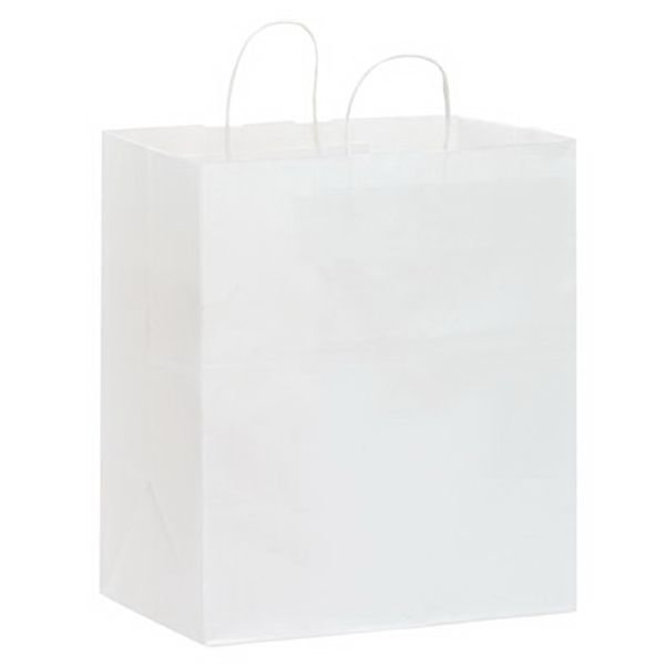 Main Product Image for White Kraft Carry-Out Bags- Blank