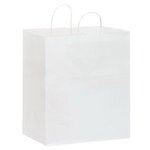 White Kraft Carry-Out Bags- Blank -  