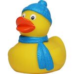 Winter Duck