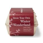 Winter Wonderland Grow Your Own Kit