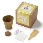 Buy Yellow Garden of Hope Seed Planter Kit in Kraft Box